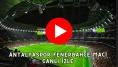 Antalyaspor Fenerbahçe Maç Özeti