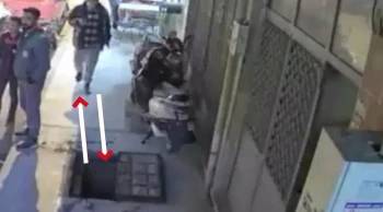 Telefona Dikkat Edilmezse Başımıza Gelen Kaza: Afgan Açık Rögarın İçine Düştü